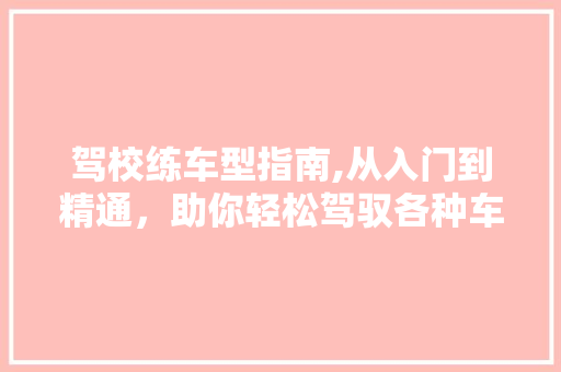 驾校练车型指南,从入门到精通，助你轻松驾驭各种车型