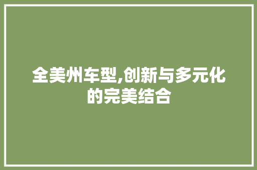 全美州车型,创新与多元化的完美结合