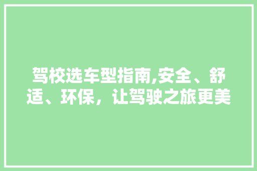 驾校选车型指南,安全、舒适、环保，让驾驶之旅更美好