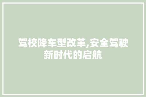 驾校降车型改革,安全驾驶新时代的启航