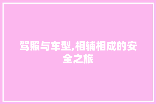驾照与车型,相辅相成的安全之旅