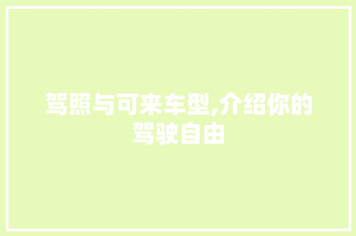 驾照与可来车型,介绍你的驾驶自由
