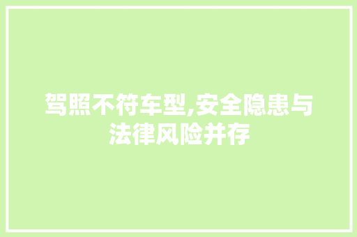 驾照不符车型,安全隐患与法律风险并存
