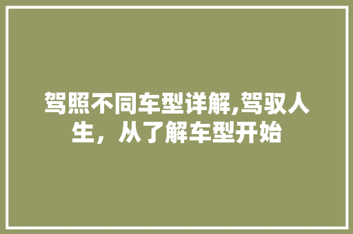 驾照不同车型详解,驾驭人生，从了解车型开始