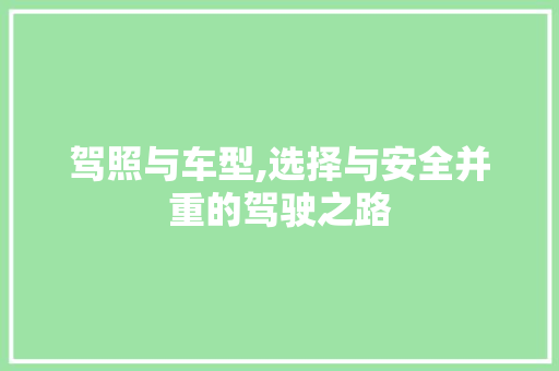 驾照与车型,选择与安全并重的驾驶之路