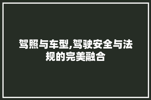 驾照与车型,驾驶安全与法规的完美融合
