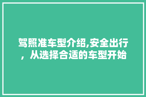 驾照准车型介绍,安全出行，从选择合适的车型开始