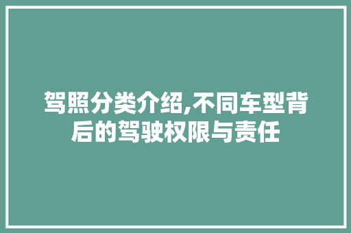 驾照分类介绍,不同车型背后的驾驶权限与责任
