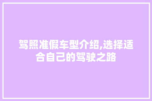 驾照准假车型介绍,选择适合自己的驾驶之路