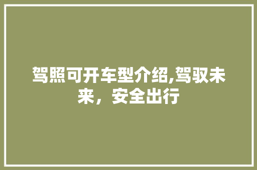 驾照可开车型介绍,驾驭未来，安全出行
