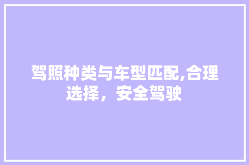 驾照种类与车型匹配,合理选择，安全驾驶
