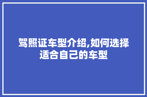 驾照证车型介绍,如何选择适合自己的车型 发动机配件