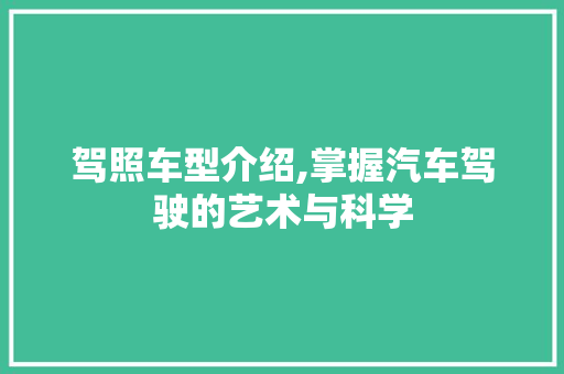 驾照车型介绍,掌握汽车驾驶的艺术与科学