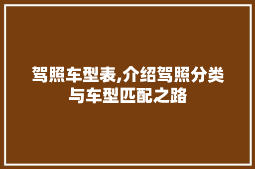 驾照车型表,介绍驾照分类与车型匹配之路