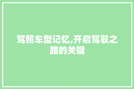 驾照车型记忆,开启驾驭之路的关键