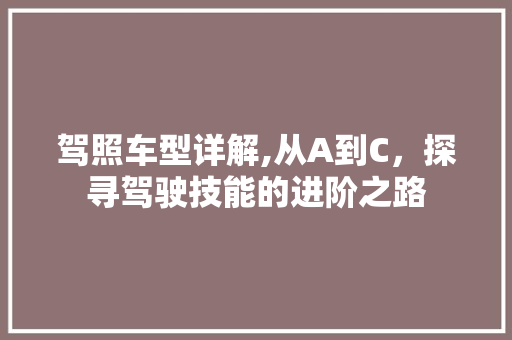 驾照车型详解,从A到C，探寻驾驶技能的进阶之路