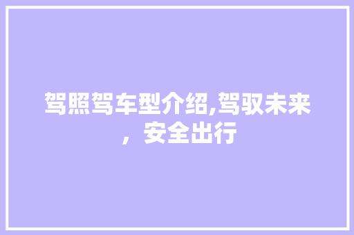 驾照驾车型介绍,驾驭未来，安全出行