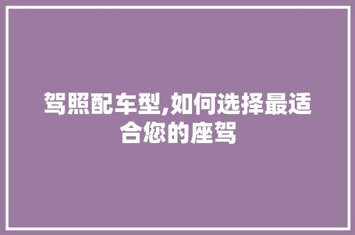 驾照配车型,如何选择最适合您的座驾