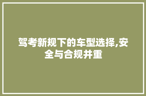 驾考新规下的车型选择,安全与合规并重