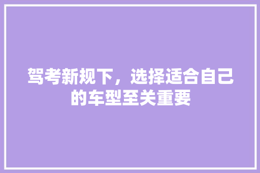 驾考新规下，选择适合自己的车型至关重要