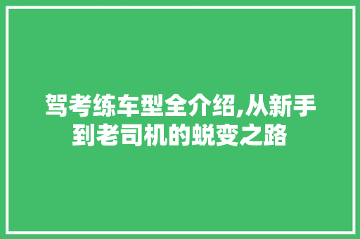 驾考练车型全介绍,从新手到老司机的蜕变之路