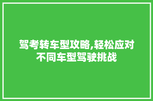 驾考转车型攻略,轻松应对不同车型驾驶挑战 汽车配件