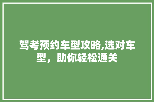 驾考预约车型攻略,选对车型，助你轻松通关