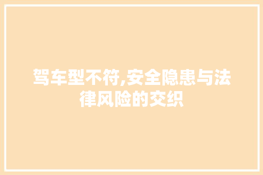 驾车型不符,安全隐患与法律风险的交织