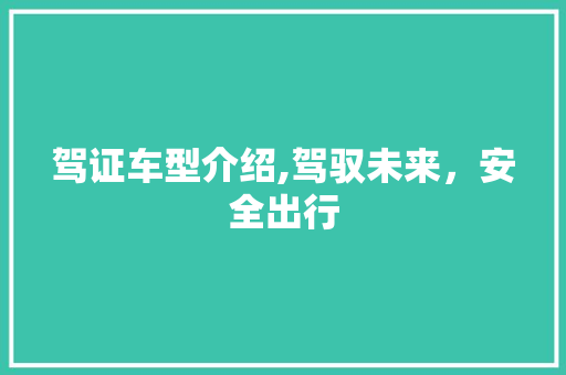 驾证车型介绍,驾驭未来，安全出行