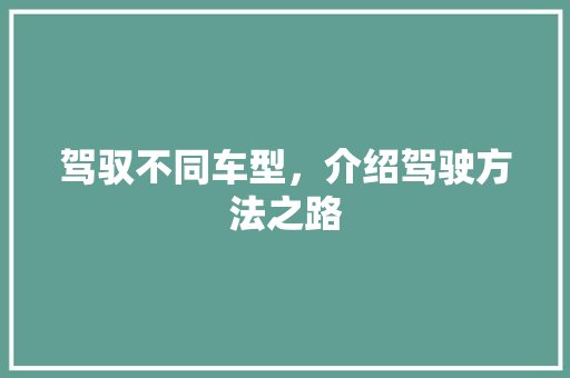 驾驭不同车型，介绍驾驶方法之路