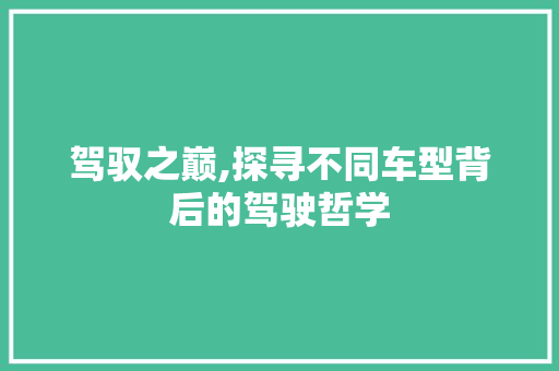 驾驭之巅,探寻不同车型背后的驾驶哲学