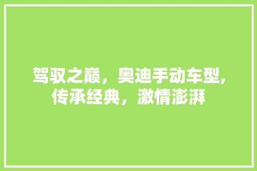 驾驭之巅，奥迪手动车型,传承经典，激情澎湃