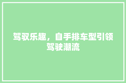 驾驭乐趣，自手排车型引领驾驶潮流