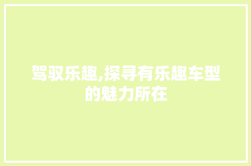驾驭乐趣,探寻有乐趣车型的魅力所在