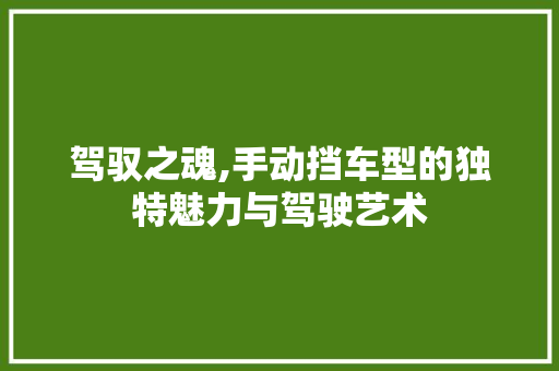 驾驭之魂,手动挡车型的独特魅力与驾驶艺术