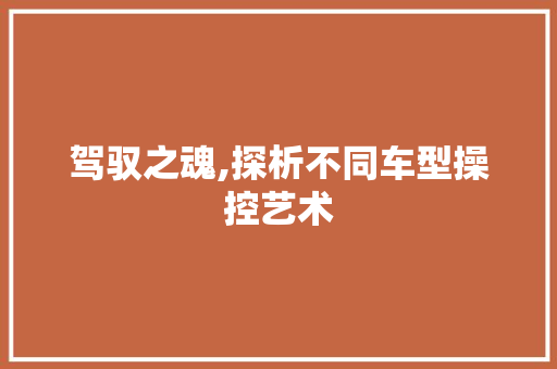 驾驭之魂,探析不同车型操控艺术