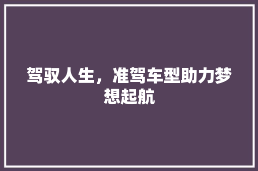 驾驭人生，准驾车型助力梦想起航
