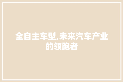 全自主车型,未来汽车产业的领跑者