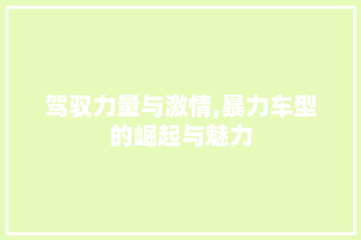 驾驭力量与激情,暴力车型的崛起与魅力