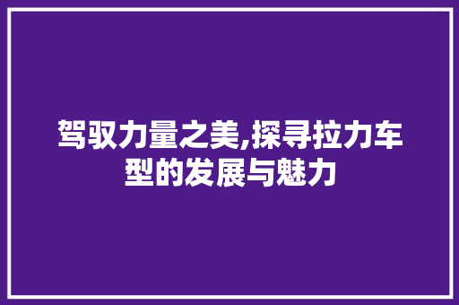 驾驭力量之美,探寻拉力车型的发展与魅力