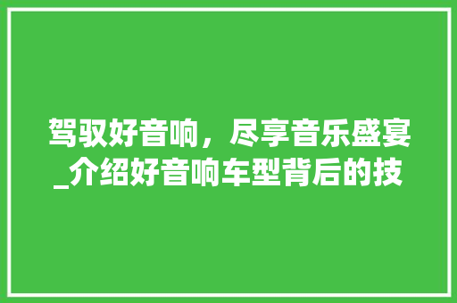 驾驭好音响，尽享音乐盛宴_介绍好音响车型背后的技术魅力