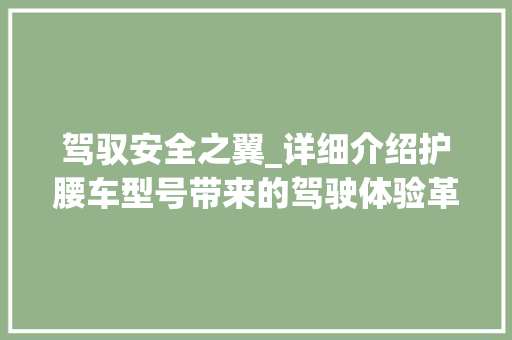 驾驭安全之翼_详细介绍护腰车型号带来的驾驶体验革命