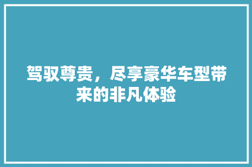 驾驭尊贵，尽享豪华车型带来的非凡体验