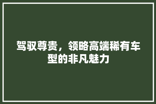 驾驭尊贵，领略高端稀有车型的非凡魅力
