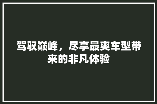 驾驭巅峰，尽享最爽车型带来的非凡体验