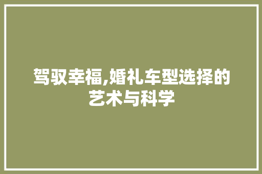 驾驭幸福,婚礼车型选择的艺术与科学