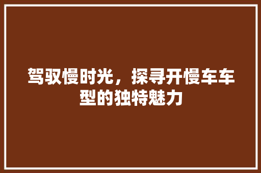 驾驭慢时光，探寻开慢车车型的独特魅力