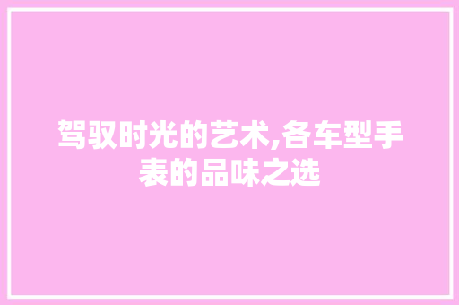 驾驭时光的艺术,各车型手表的品味之选