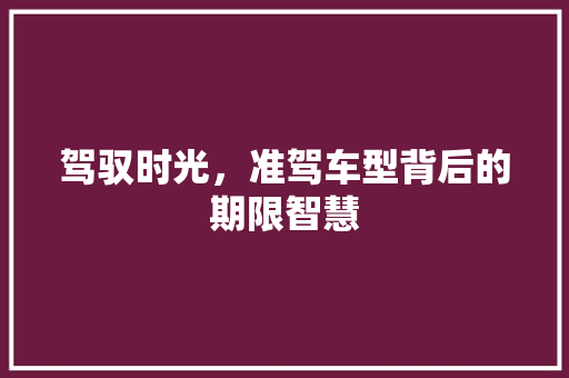 驾驭时光，准驾车型背后的期限智慧