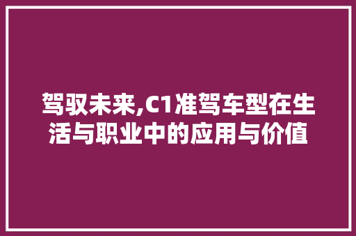 驾驭未来,C1准驾车型在生活与职业中的应用与价值